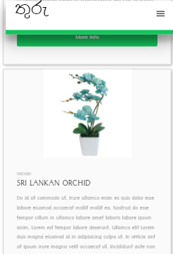 Fully customizable online store - Project screenshot